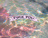 F**k you background