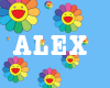 ALEX Custom chain