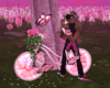 Spring in Pink Bike