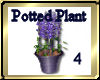 [my]Potted Plant 4