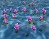 Floating Purple Roses 