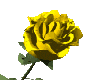 Yellow animated rose