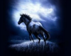 MoonLight Horse Rug