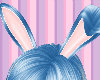 Easter Bunny Blue