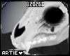 A* Bongo | Skull RQ