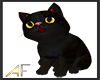 [AF] Black Cat Pet M/F