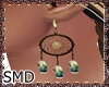 ! Native Earrings