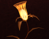 (SL)Tranbar Lily Lamp