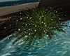 lighted palm plant