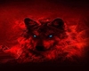 Black Red Wolf LongCoat