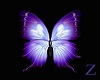 Z: Purple Anim Butterfly