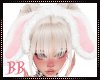 BB|Kawaii Bun Ears