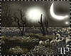 Mystic Order Dark Moon