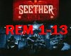 Seether Remedy