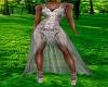 Silver Sheer Gown