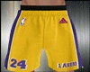 Short Lakers 24