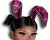Miss Bunny Ears! (ANI)