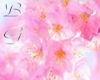 *BG* Sakura Love Flower