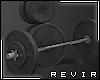 R║ Barbell + Weights