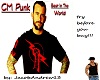 CM PUNK