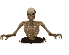 Halloween - Skeleton