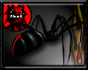 ~R Redback Spider 2