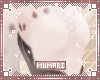 Azira A cup