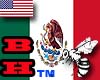 BH/KQ Mexico Flag F