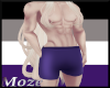 Himbo Shorts Purple