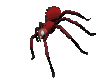Dangling Vampire Spider