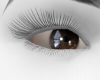 ©JIV| Dusky Eyes