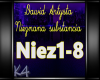 K4 Dawid Artysta nieznan