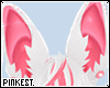 [pink] Lovebat Ears Uni