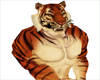 S~n~D Tiger Avatar