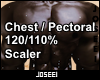 Chest/Pec 120/110%