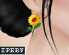 lPl Sunflower |F