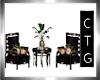 CTG OUTDOOR CHAIRS SET/2