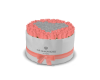 Million Roses Peach