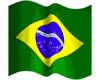  Brazil vine XXL
