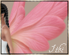 -I- Fairy Wings 3