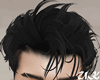 Frank Black Hair