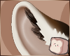 ⊹ Acorn Ears V4