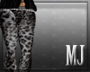 -M- Leopard grey Pants