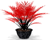 red/black Planter
