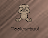 Peek-A-Boo~Teddy Bear