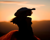 cowgirl silhouette.
