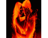 Flaming Couple 160x220