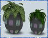 Kawaii Plants