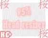 Ko ll Head Resizer 95%