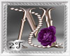 ~2T~ M Purple Rose